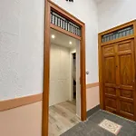 Steba 1 Apartment